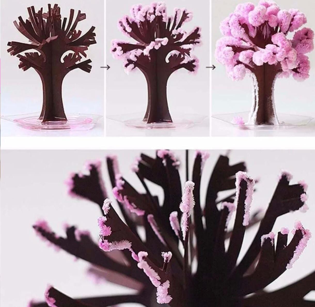 Magic Sakura - Eğitici ve Eğlenceli Kristal Ağaç Büyütme Seti, Çocuklar ve Yetişkinler İçin