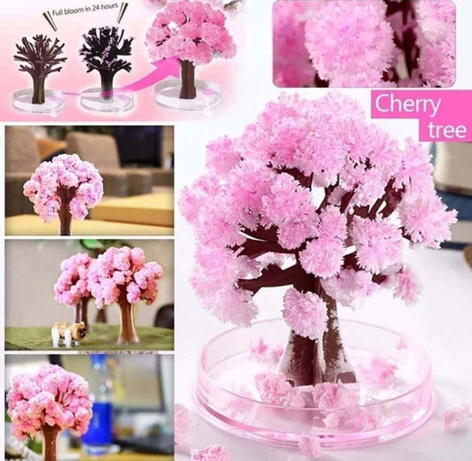 Magic Sakura - Eğitici ve Eğlenceli Kristal Ağaç Büyütme Seti, Çocuklar ve Yetişkinler İçin